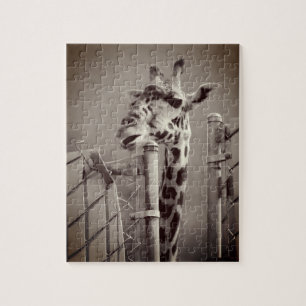 Giraffenfotografie - Vintager Stil Puzzle