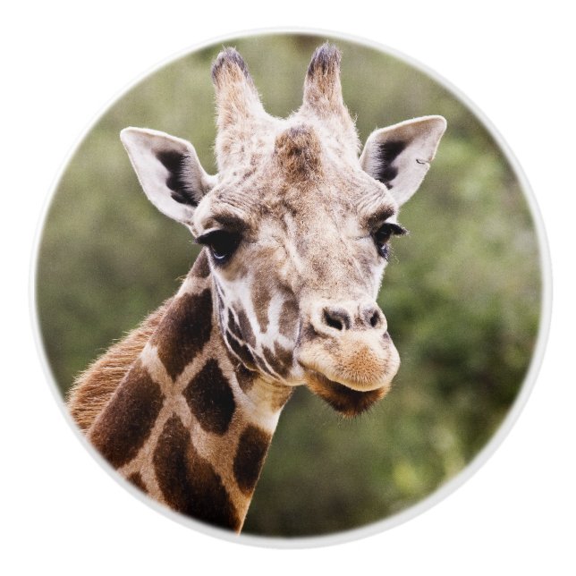 Giraffengriff Keramikknauf (Vorderseite)