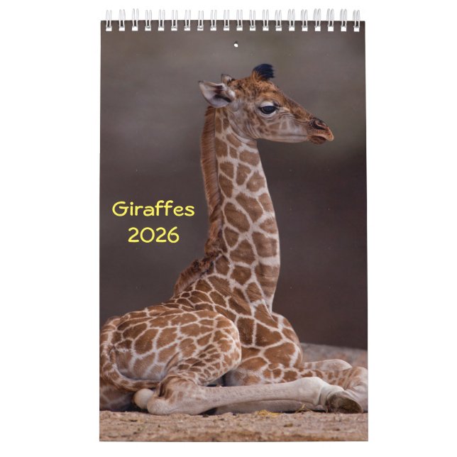 Giraffenkalender Kalender (Titelbild)
