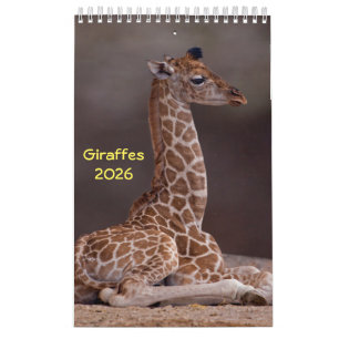 Giraffenkalender Kalender