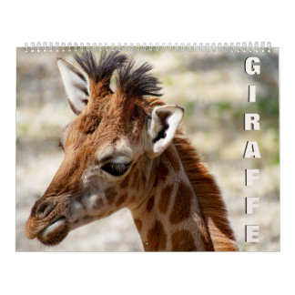 Giraffenkalender Kalender