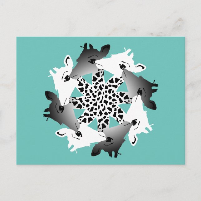 Giraffenkreis Postkarte (Vorderseite)