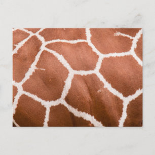 Giraffenmuster Postkarte