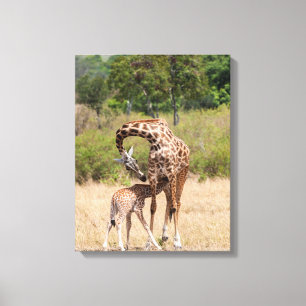 Giraffenmutter und Baby in Kenia Leinwanddruck