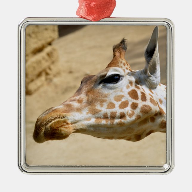 Giraffenportrait Ornament Aus Metall (Vorne)
