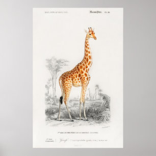 Giraffenprint Poster