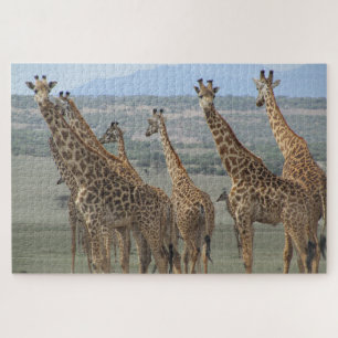 Giraffenturm Puzzle