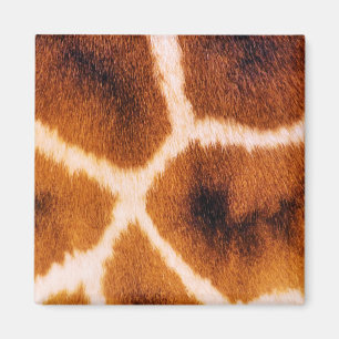 GIRAFFES MAGNET