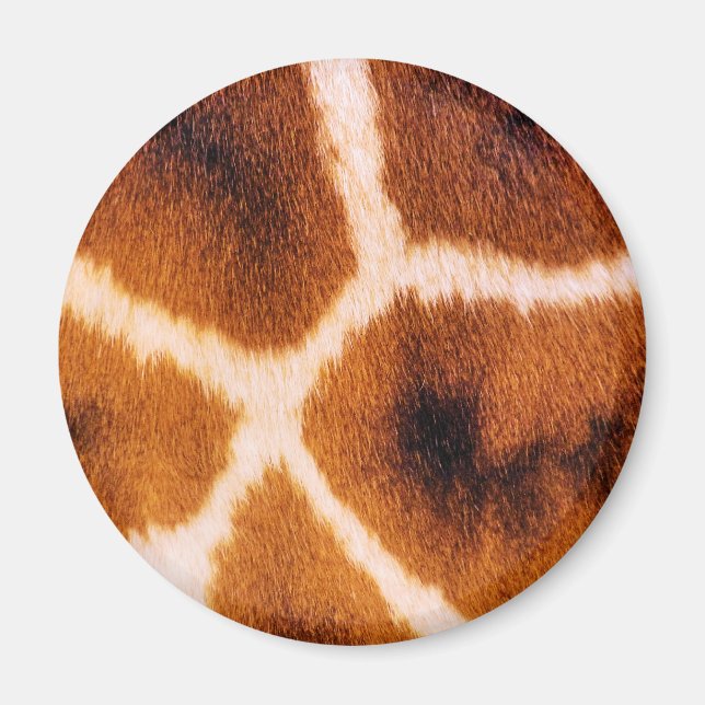 GIRAFFES MAGNET (Vorne)