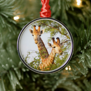 Giraffes Peeking Above Vegetation Ornament Aus Metall