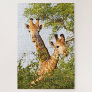 Giraffes Peeking Above Vegetation Puzzle