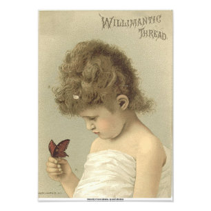 Girl Admiring Butterfly Ephemera Foto Print