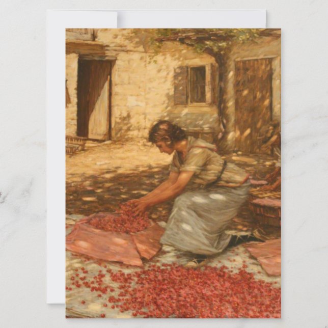 Girl Packing Cherries in der Provence (Frankreich) Karte (Vorderseite)