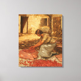 Girl Packing Cherries in der Provence (Frankreich) Leinwanddruck