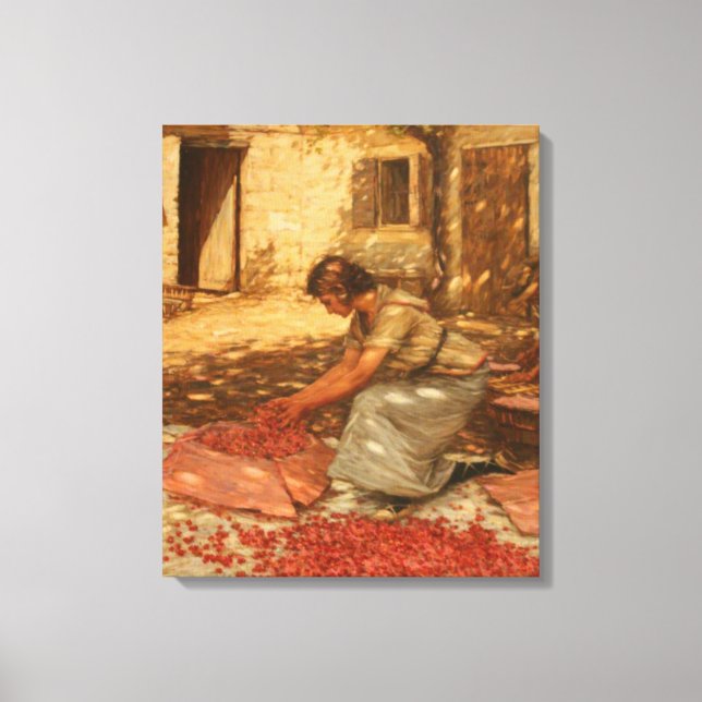 Girl Packing Cherries in der Provence (Frankreich) Leinwanddruck (Vorderseite)