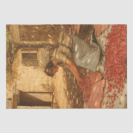 Girl Packing Cherries in der Provence (Frankreich) Seidenpapier