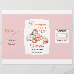 Girl Pumpkin Patch Geburtstagsparty Chip Beutel Wr Flyer