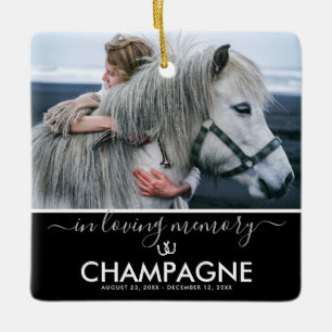 Girls Best Friend Horse Memorial Keepake Keramik Keramikornament