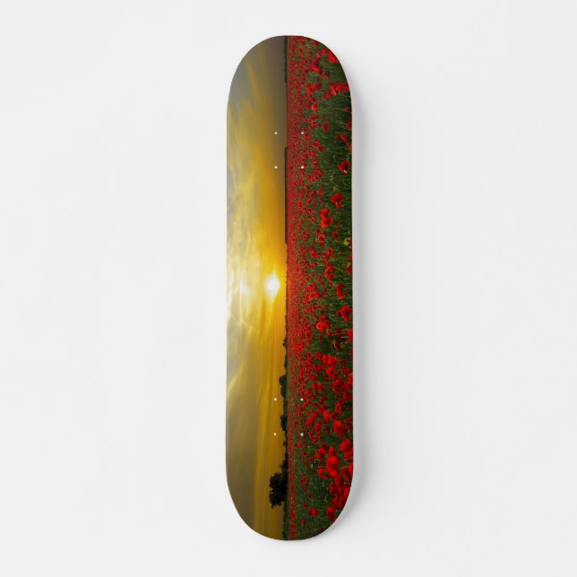 Girls Skateboard Sunset auf Mohnfeld (Vorne)