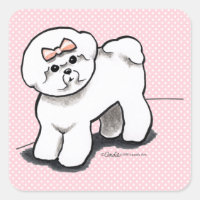 Girly Bichon Frise