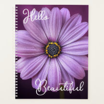 Girly Hello Beautiful Zitat Lavender Daisy Blume