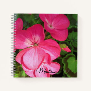 Girly Pink Geranium Blume mit Waterdropp Foto Notizbuch