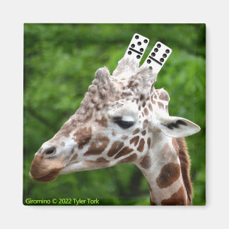 Giromino-Magnet Magnet