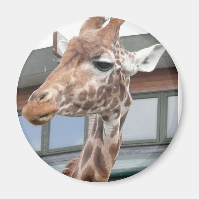 Girraffe Magnet (Vorne)