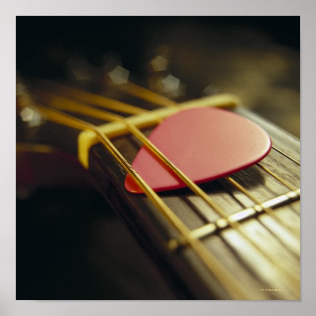 Gitarrenplecktrum Poster (Vorne)