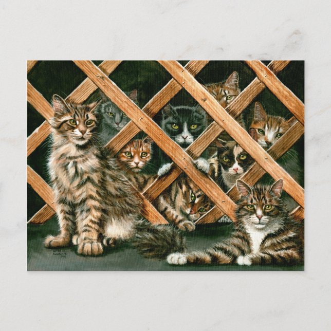 Gitter-Katzen-Postkarte Postkarte (Vorderseite)