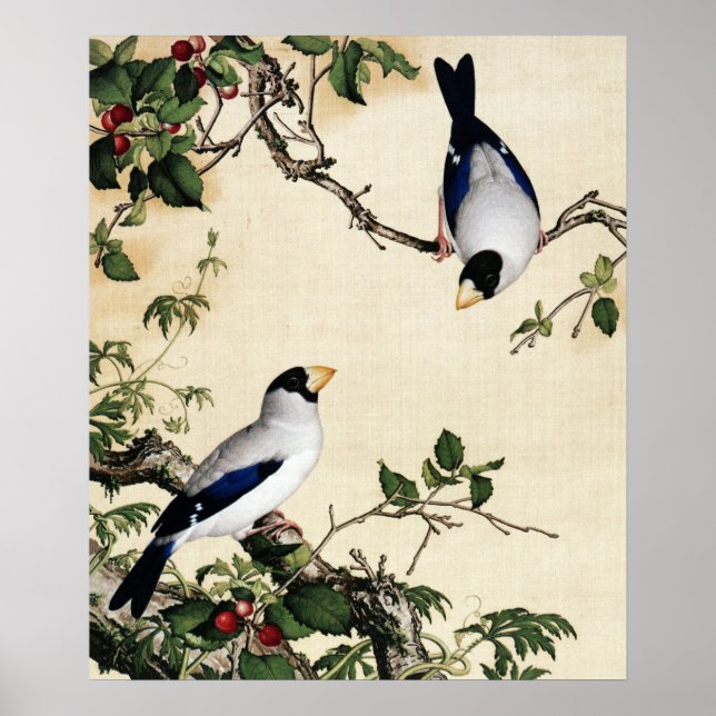 Giuseppe Castiglione - Cherry Blossoms Kunst Poster (Vorne)