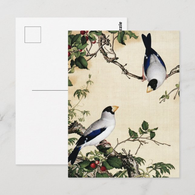 Giuseppe Castiglione - Cherry Blossoms Kunst Postkarte (Vorne/Hinten)