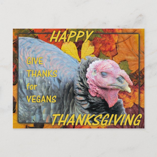 Give Thanks for Vegans Feiertagspostkarte (Vorderseite)