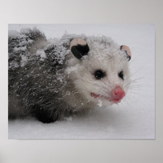 Gizmo Poster Print (Vorne)