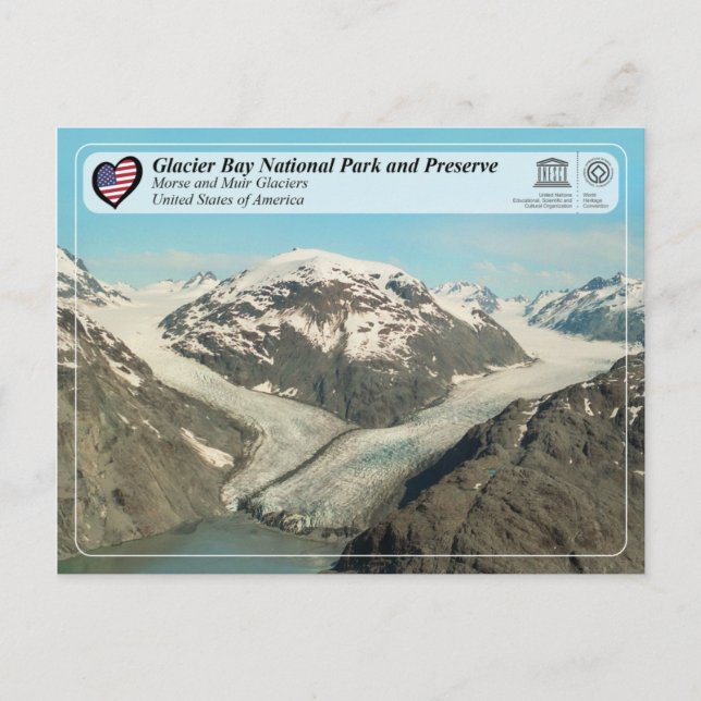 Glacier Bay National Park - Morse and Muir Glacier Postkarte (Vorderseite)