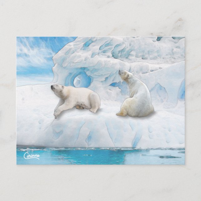 Glacier Bears - Postkarte (Vorderseite)