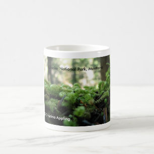 Glacier National Park, Montana Mossy Tasse