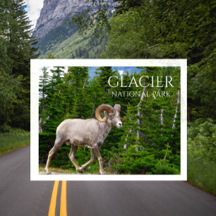 Glacier National Park, Montana Postkarte