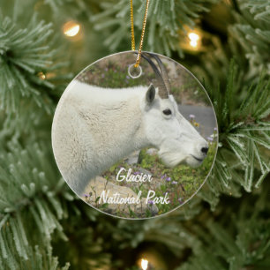 Glacier National Park Mountain Goat Foto Keramik Ornament