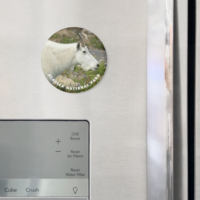 Glacier National Park Mountain Goat Foto Magnet (In Situ (Kühlschrank))