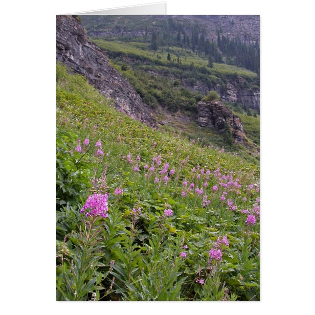Glacier Park (Vorne)