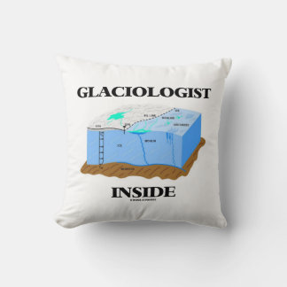 Glaciologin Inside Glacier Earth Science Kissen