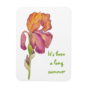 Glad you are back card magnet