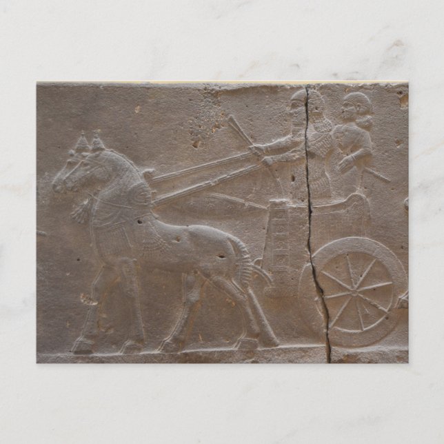 Gladiators Postkarte (Vorderseite)