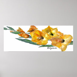 Gladiola Aquarellbilder drucken Poster