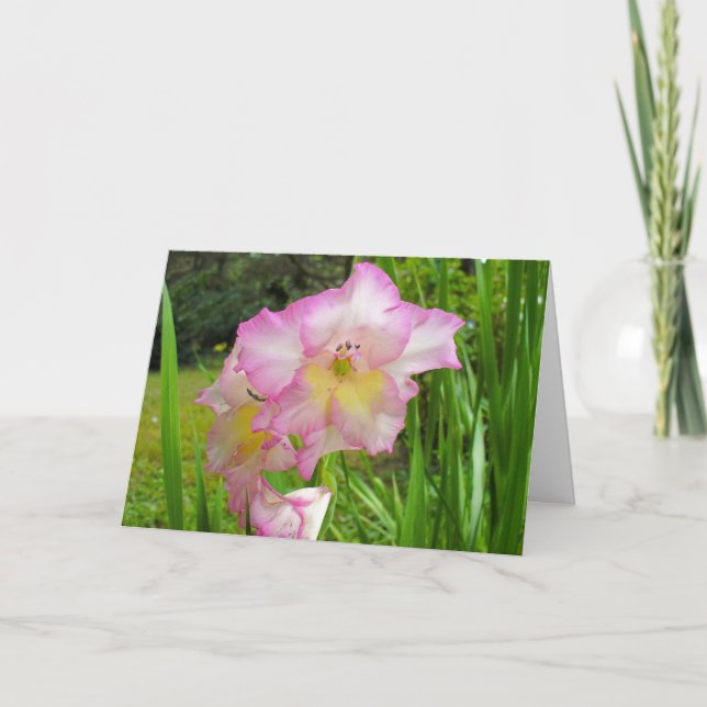 Gladiola denkt an Ihre Karte (Vorderseite)