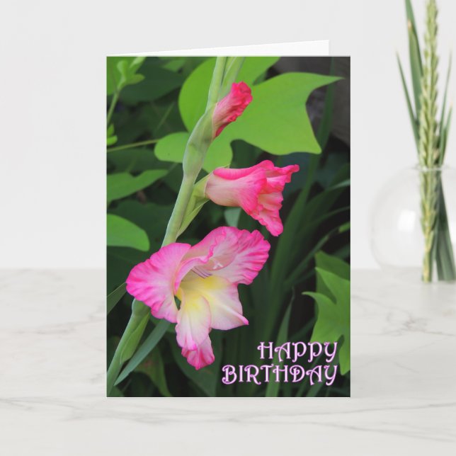 Gladiola Geburtstag 3 Karte (Vorderseite)