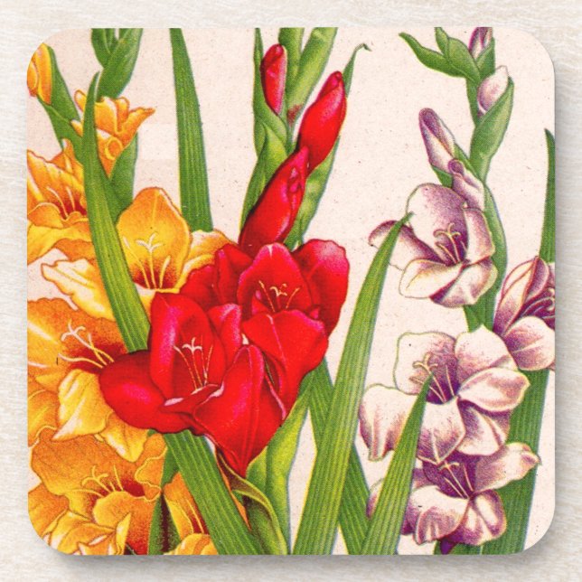 Gladioli-Blume Gladioli-Blume Untersetzer (Vorderseite)