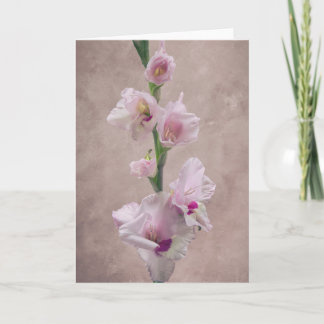 Gladioli-Blume Karte