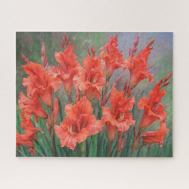 Gladioli Blume Red Blooms Floral Picture Puzzle (Horizontal)